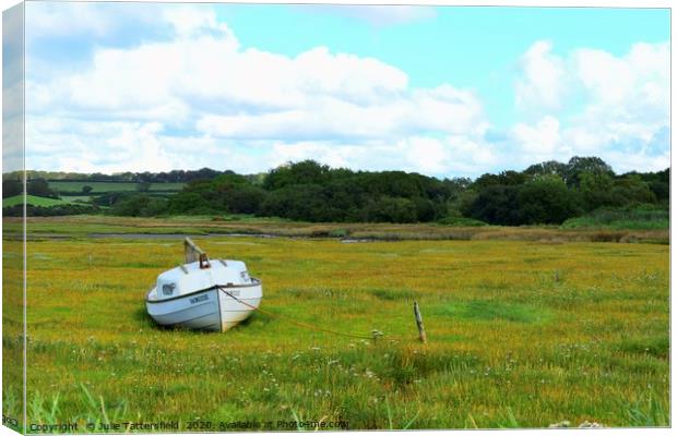 Snowgoose rowing boat at the Parrog, Pembrokeshire Canvas Print by Julie Tattersfield
