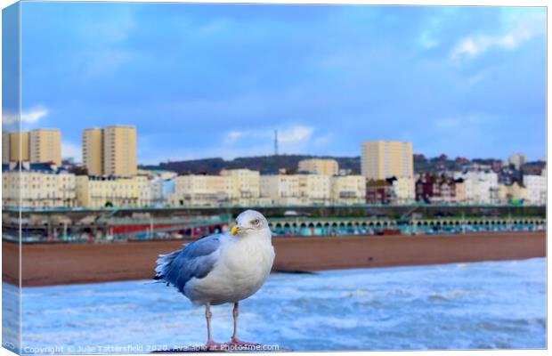 Brighton seagull looking for chips! Canvas Print by Julie Tattersfield