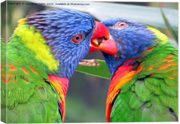 Friendly Parrots Canvas Print by Laurence Tobin