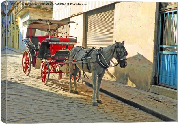 Horse and Carriage, Havana Cuba Canvas Print by Laurence Tobin