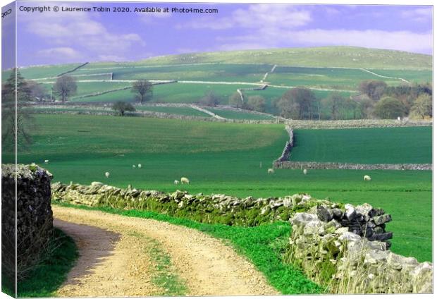 Yorkshire Countryside Walk Route Canvas Print by Laurence Tobin