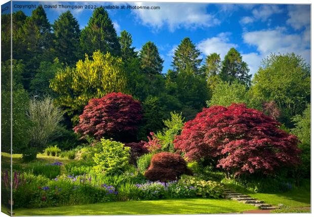 Morpeth Northumberland Canvas Print by David Thompson