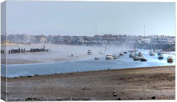 Amble Northumberland Canvas Print by David Thompson