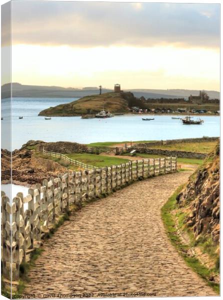 Holy Island Harbour Canvas Print by David Thompson