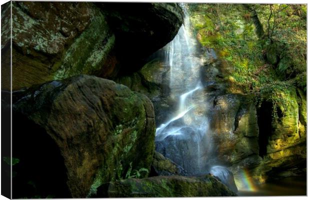 Routin Lynn  Northumberland  Canvas Print by David Thompson