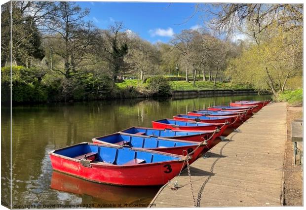 Morpeth Rowing Boats   Canvas Print by David Thompson