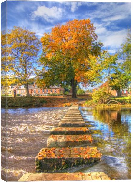 Morpeth Stepping Stones Northumberland Canvas Print by David Thompson