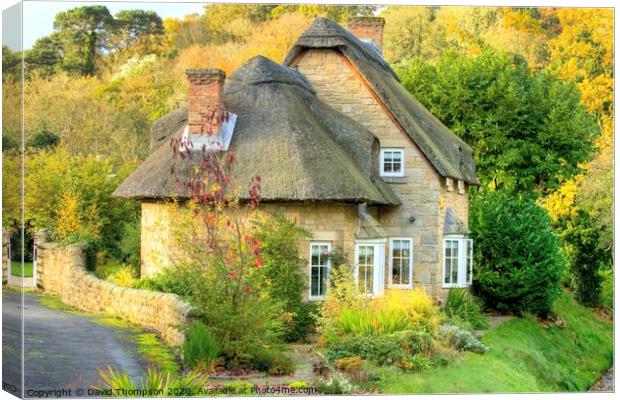 Mitford Thatched Cottage Northumberland  Canvas Print by David Thompson