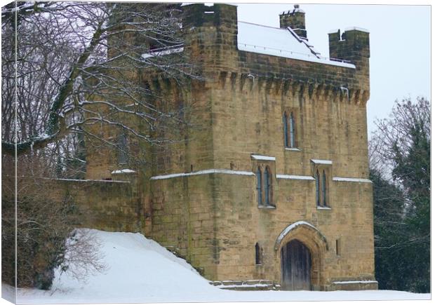 Morpeth castle Canvas Print by David Thompson