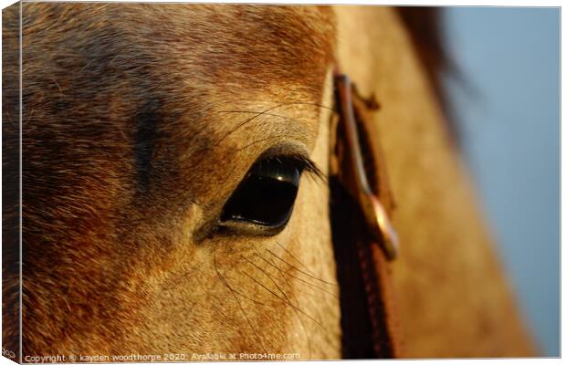 Sunrise in the eye of a horse  Canvas Print by kayden woodthorpe
