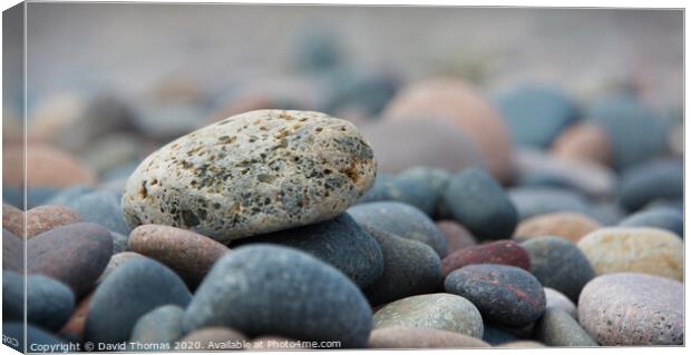 Vibrant Pebble Mosaic Canvas Print by David Thomas