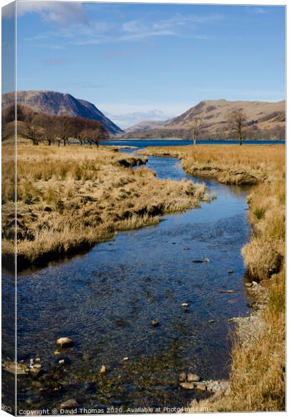 Serenity in Buttermere Canvas Print by David Thomas