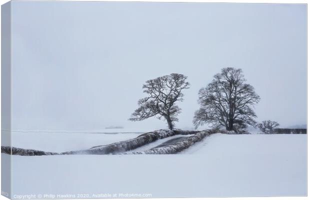 The Trows trees in snow Canvas Print by Philip Hawkins