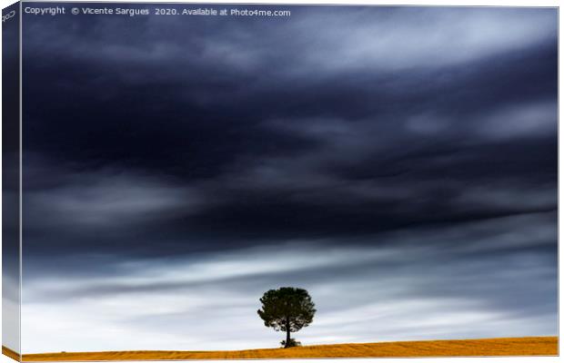 The tree under the storm Canvas Print by Vicente Sargues