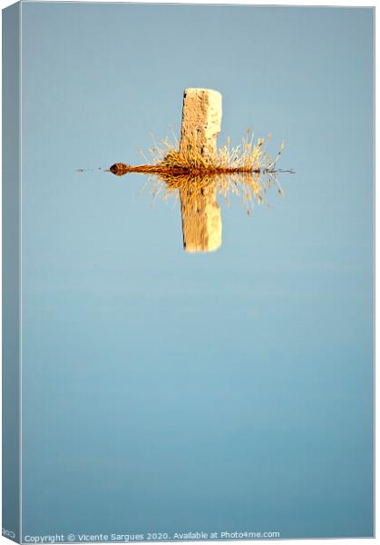 The boulding stone and reflection Canvas Print by Vicente Sargues