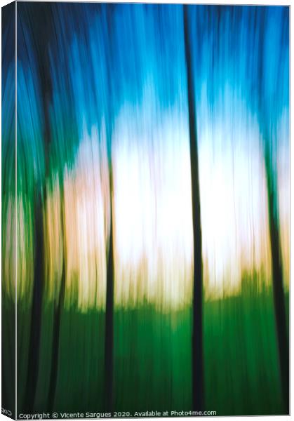 Abstract woodland Canvas Print by Vicente Sargues