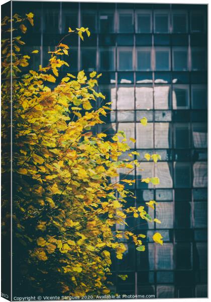 Yellow leaves and a building Canvas Print by Vicente Sargues