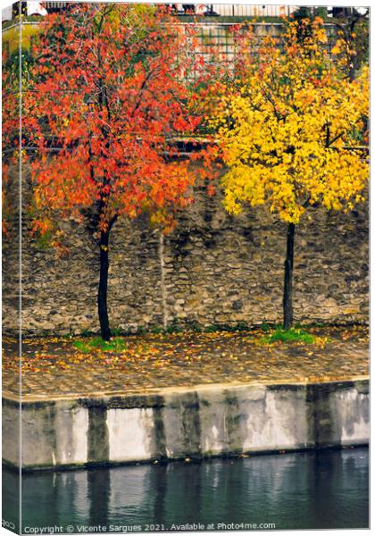 Autumn colors on trees Canvas Print by Vicente Sargues