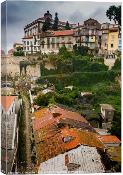 Roofs and houses in Porto Canvas Print by Vicente Sargues