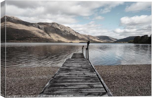 Dive Right Into Loch Maree Canvas Print by mary spiteri