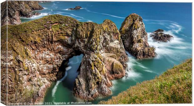 Majestic Camels at Bullers of Buchan Canvas Print by Don Nealon