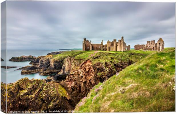 Slains Castle Canvas Print by Don Nealon