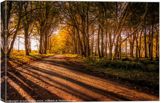 Autumn shadows Canvas Print by Don Nealon