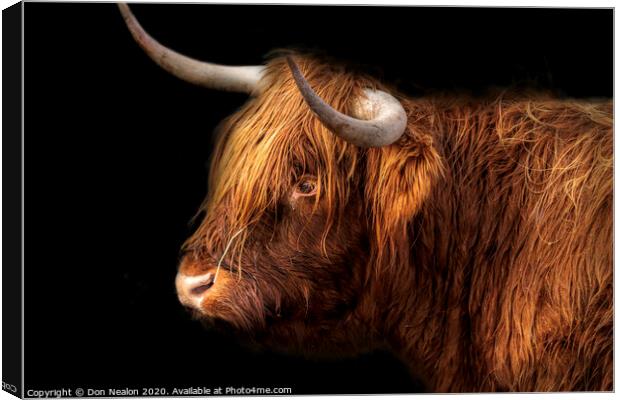 Majestic Rustic Highland Cattle Canvas Print by Don Nealon