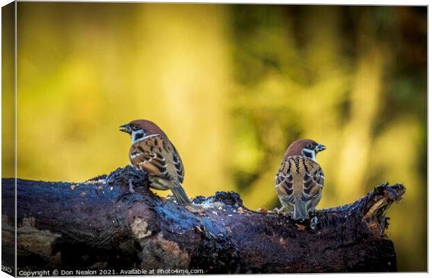 Cheerful Garden Visitors Canvas Print by Don Nealon