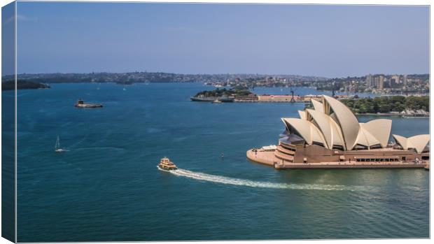 Sydney Harbour Canvas Print by Pete Evans