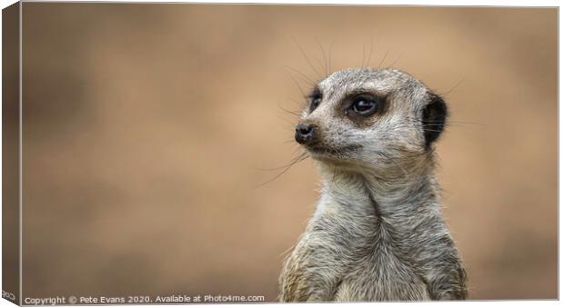 The Lookout Canvas Print by Pete Evans