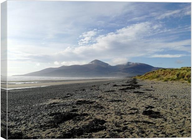 Newcastle's Donard Canvas Print by Steven Porter