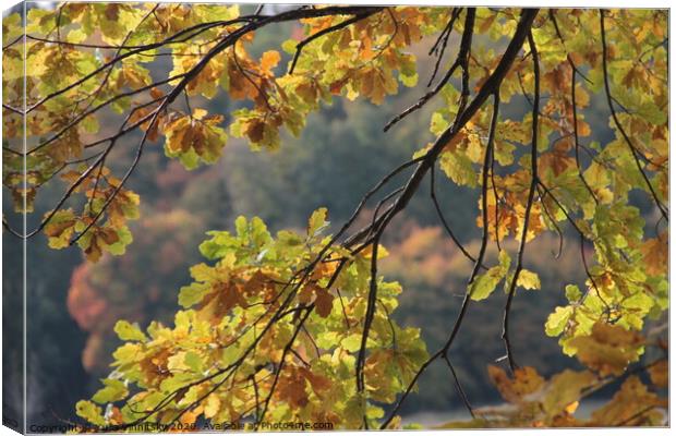 A golden branch Canvas Print by Yulia Vinnitsky