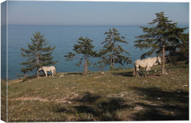 Baikal and horses landscape Canvas Print by Yulia Vinnitsky