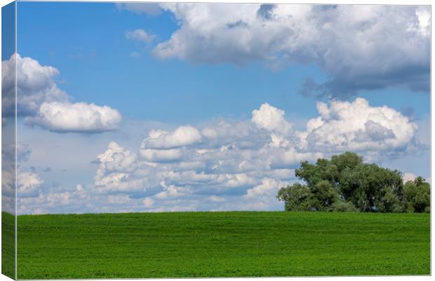 Green field with white clouds Canvas Print by Arpad Radoczy