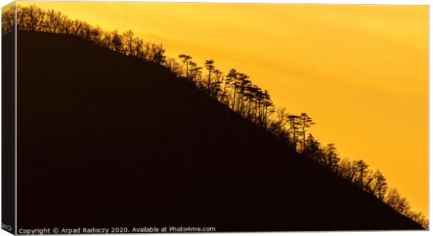 Curved mountain silhouette with tree in a sunset l Canvas Print by Arpad Radoczy