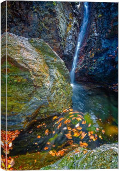 Beautiful veil waterfalls, mossy rocks, rotating leaves Canvas Print by Arpad Radoczy