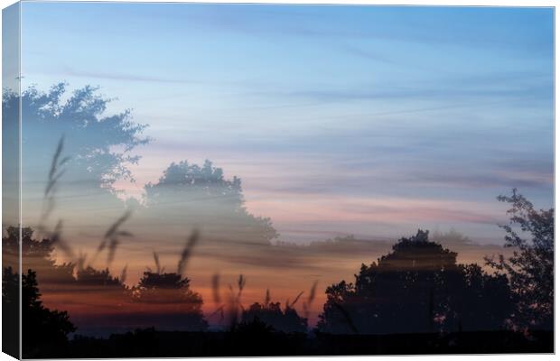 Double exposure picture from a meadow with sunset light Canvas Print by Arpad Radoczy