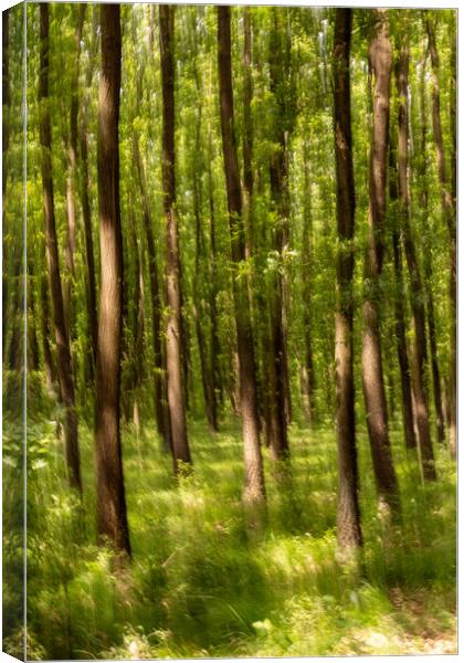 Blurred forest Canvas Print by Arpad Radoczy