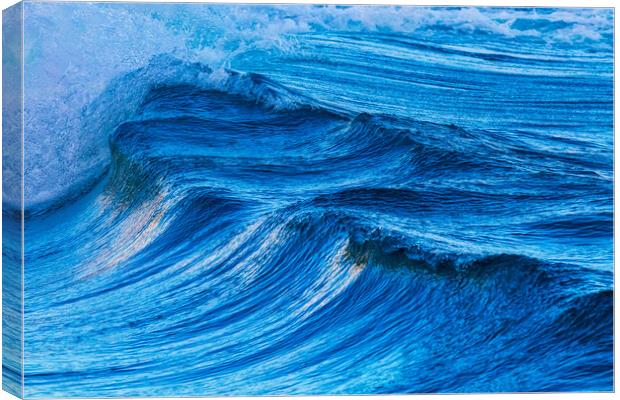 Big waves from the ocean Canvas Print by Arpad Radoczy