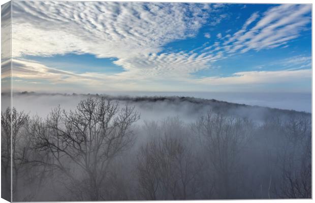 Fluffy clouds over the forest Canvas Print by Arpad Radoczy