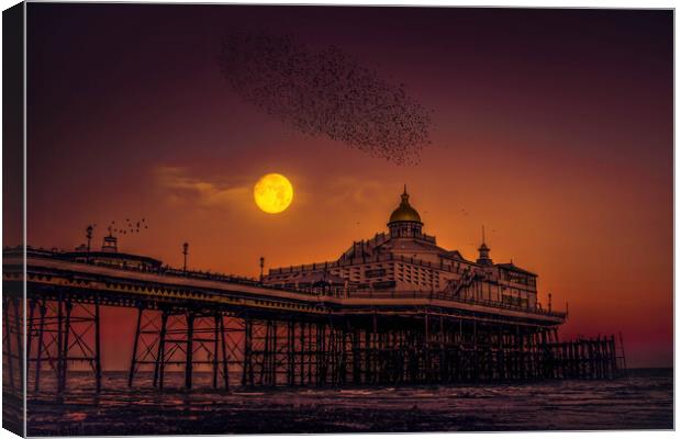 Starlings flying over Eastbourne Pier Canvas Print by Jadwiga Piasecka