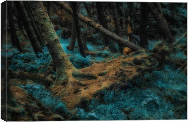 Magical Forest - Isle of Skye Canvas Print by Jadwiga Piasecka