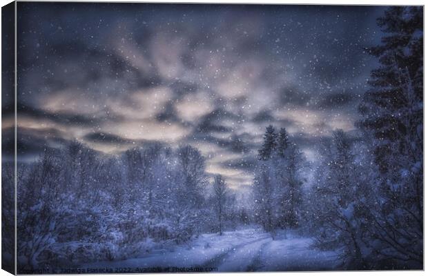 Snowy Forest - Finnish Lapland Canvas Print by Jadwiga Piasecka
