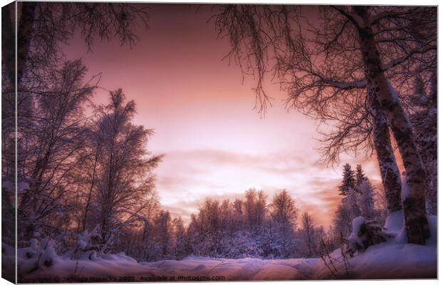 Beautiful sunset in Lapland Canvas Print by Jadwiga Piasecka