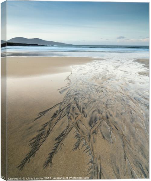 Harris beach feathers Canvas Print by Chris Lauder