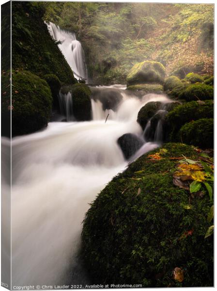 Alva glen Canvas Print by Chris Lauder