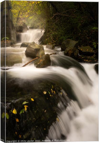 Autumnal waterfall Canvas Print by Chris Lauder