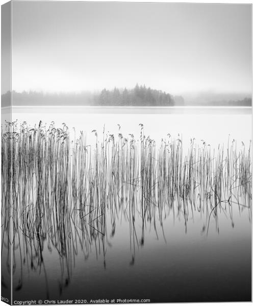 Mystical Reeds at Loch Ard Canvas Print by Chris Lauder