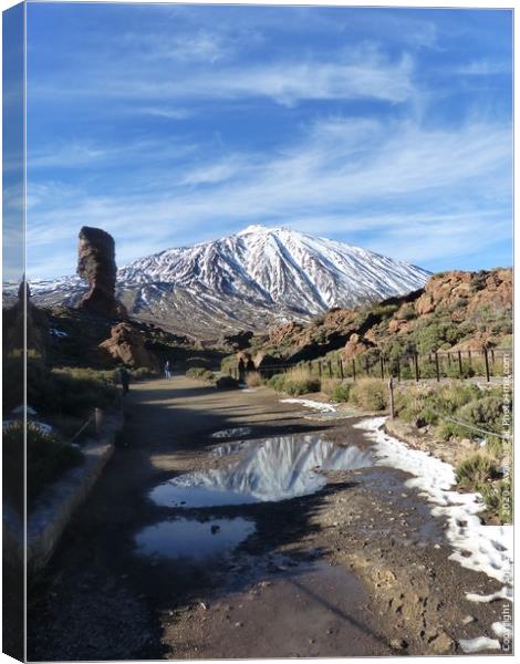 Mount Teide Canvas Print by Photography by Sharon Long 